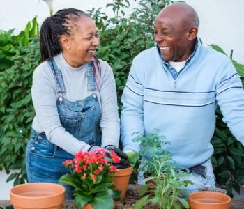 cnim_adult_primarycare
